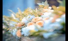 母親節是5月的第幾個星期日