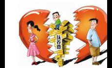 沒有子女撫養(yǎng)權(quán)如何爭取孩子撫養(yǎng)費?