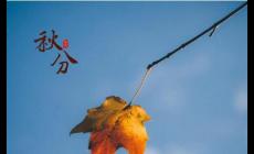 經(jīng)典秋分節(jié)氣唯美句子