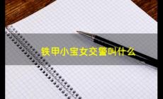 鐵甲小寶的女交警叫什么？鐵甲小寶粉色機器人叫什么？