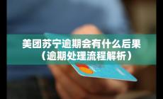 美團蘇寧逾期會有什么后果（逾期處理流程解析）