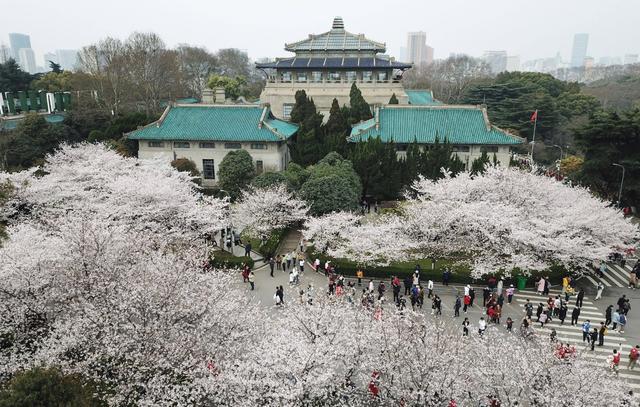 985大學全部排名,揭曉:頂尖學府最新座次排定