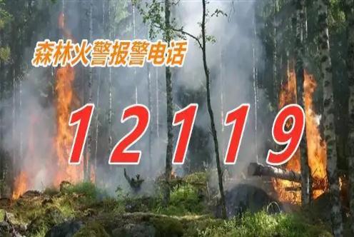 森林火災報警電話是多少？