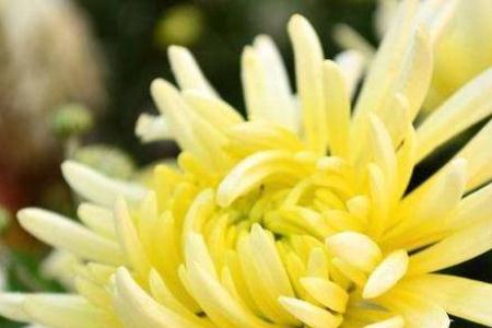 男生高考成績太好失眠半夜大掃除 什么情況