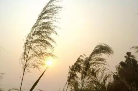 風中的遺憾原唱誰唱的 風中的遺憾原唱是誰