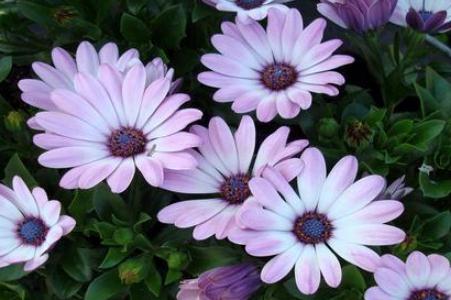 貴州考生高考666分爸爸:公主請上岸 眼睛都要笑沒了