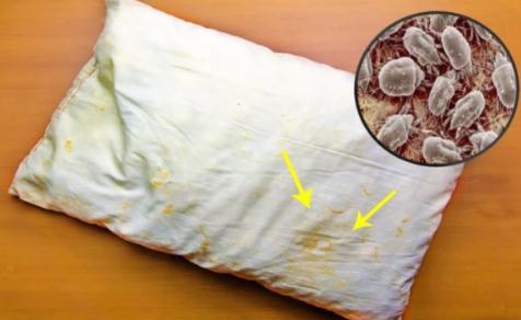 為什么枕頭上會有螨蟲 枕頭為什么會有螨蟲