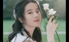 劉亦菲憑一部劇帶火了5個(gè)人，怎么回事？