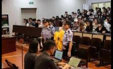 多次乘霸王車女子被判刑 怎么回事呢？