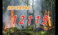 森林火災報警電話是多少？