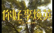 你好李煥英觀后感600字初中