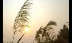 風中的遺憾原唱誰唱的 風中的遺憾原唱是誰