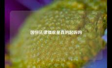 國恒法律催收是真的起訴嗎