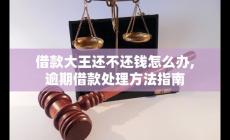 借款大王無法按時(shí)還款怎么辦？逾期借款處理指南
