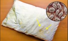 為什么枕頭上會(huì)有螨蟲(chóng) 枕頭為什么會(huì)有螨蟲(chóng)