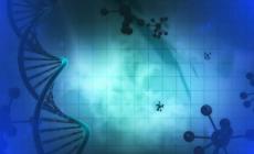 米里含肉!我國成功研發出豬肉米、雞肉米