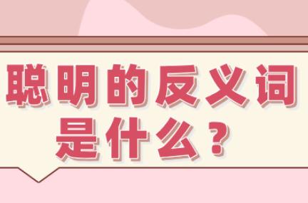 聰明的反義詞是什么