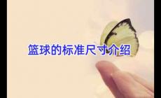 籃球的標(biāo)準(zhǔn)尺寸介紹資料