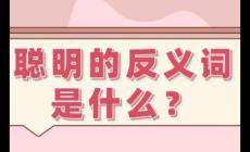 聰明的反義詞有哪些  聰明的反義詞是什么