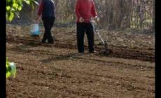 辛苦是什么意思？辛苦的意思釋義