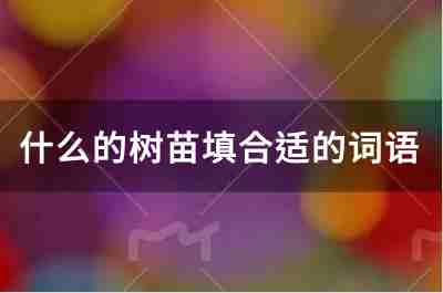 什么的樹苗填合適的詞語有哪些