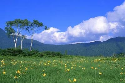 教育部最新30年教齡的教師，有啥政策？