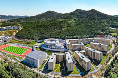 大連東軟信息學院怎么樣