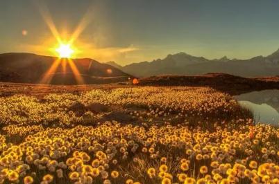 FISU是什么的縮寫 fisu中文翻譯、用法及例句