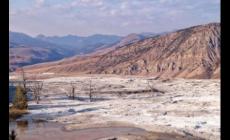 “必敬必戒”中的“戒”字是什么意思？