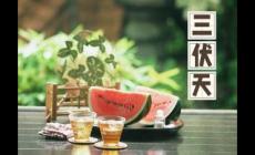 最近還這么熱？三伏天從什么時候開始至結束？