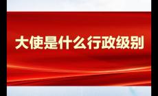 大使是什么級別？大使是什么行政級別？