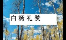 白楊禮贊是幾年級的課文(茅盾-白楊禮贊原文)