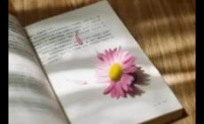 口舌造句_口舌怎么造句_用口舌造句子 30句