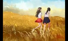 伊人一般是什么關系的人呢？小普一下