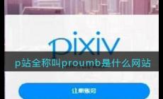 p站網址是什么？pubhorn的官網地址是多少？