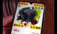 88元網(wǎng)購的4只烏雞洗出一盆黑水，品質(zhì)被消費者質(zhì)疑