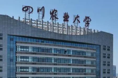 四川農業大學是985大學還是211大學