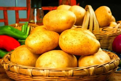 土豆怎么樣保存才能不發芽（土豆怎么樣保存不發芽）