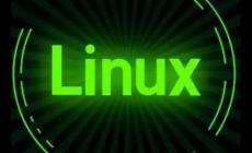 Linux下出現permission denied怎么解決（解決辦法）