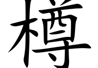 尊字五筆怎么打出來的（尊的五筆怎么打）