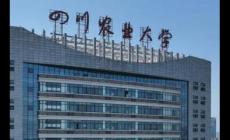 四川農業大學是985大學還是211大學