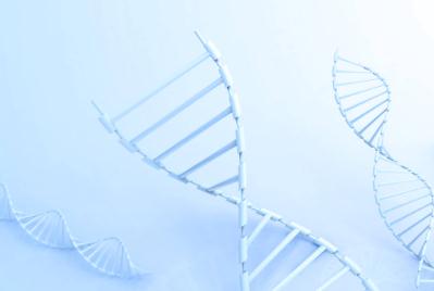 amp是指什么 amp是指什么意思