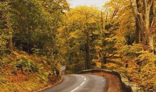 網易人工客服24小時電話怎么轉人工