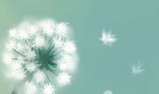 開創(chuàng)的近義詞,開創(chuàng)的近義詞有哪些