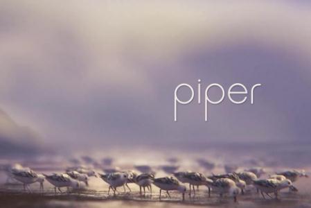 piper動畫短片觀后感850字英文