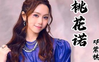 桃花諾歌詞完整版 桃花諾歌詞表達的意思介紹