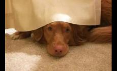 生辰八字真能決定一個人命運嗎 生辰八字能決定什么