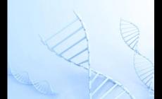 amp是指什么 amp是指什么意思