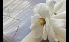 微信單刪再加回來對方知道嗎 微信單刪再加回來對方知道嗎2024