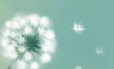 開創(chuàng)的近義詞,開創(chuàng)的近義詞有哪些